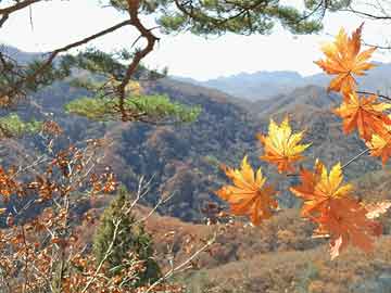 谁敢相信这是71岁的赵雅芝，岁月不败美人